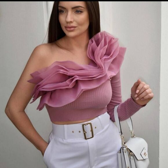 NWT ZARA BLOGGERS FAV ORGANZA RUFFLE MESH PINK TOP VOLUMINOUS - Picture 1 of 5